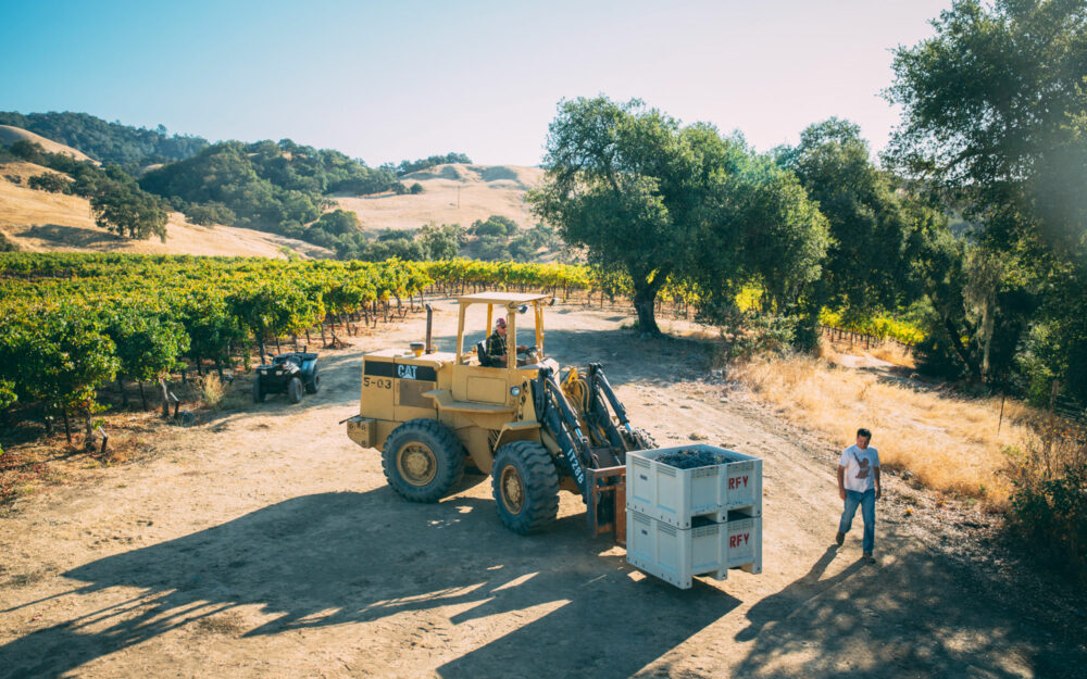 Tractor moving containers of grapes