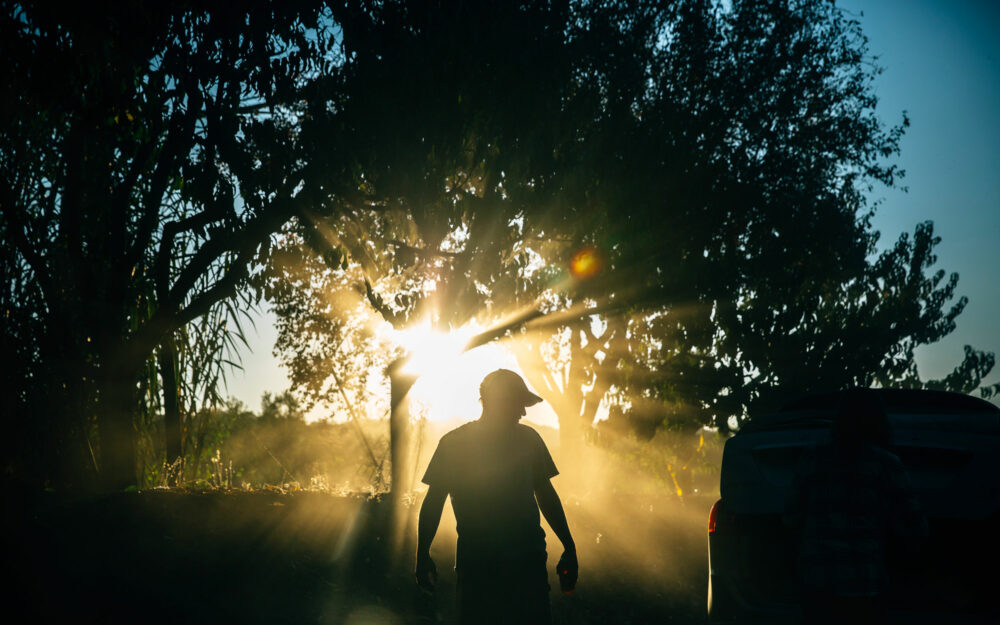 Sun shining through the trees with a man in shadow